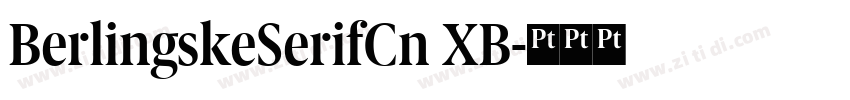 BerlingskeSerifCn XB字体转换